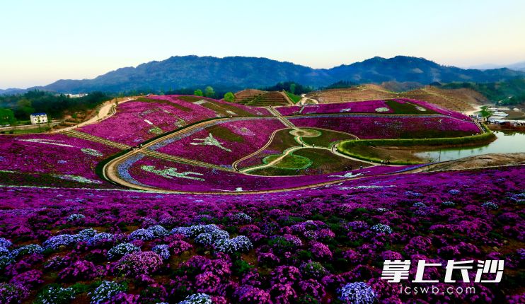 安化风光 均为省文旅厅 供图