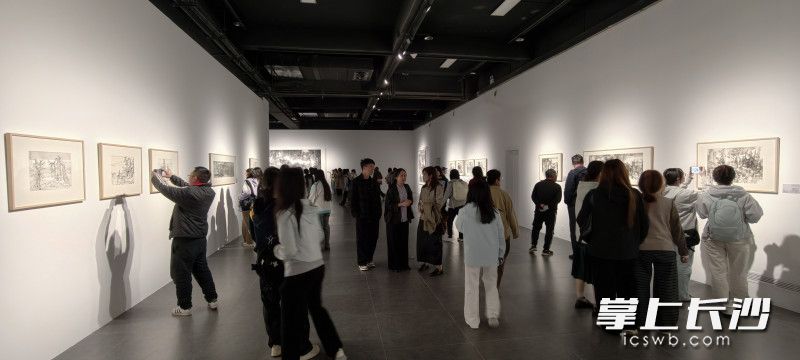 展览吸引众多大学生观赏。以上均为长沙晚报全媒体记者肖舞摄