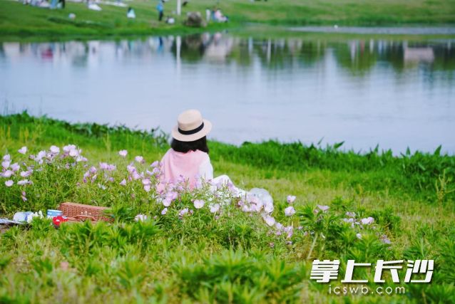 今日不少小伙伴换上短袖、裙装，尽情享受春日好时光。长沙晚报全媒体记者 舒元臻 摄