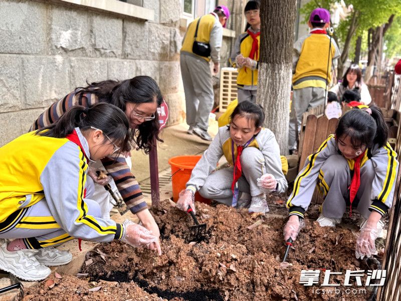 大家一起学种姜。均为学校供图
