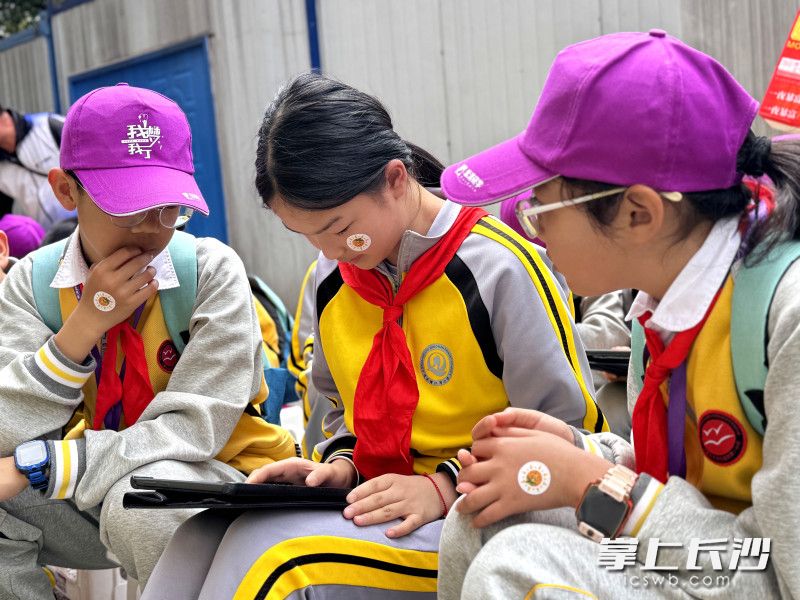使用智慧平板实时监测土壤湿度、温度等种植环境数据。