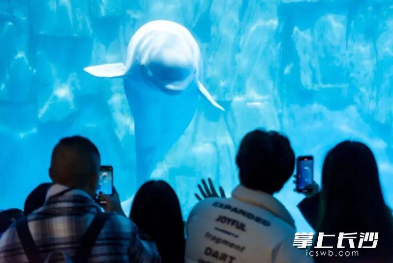 长沙海底世界。