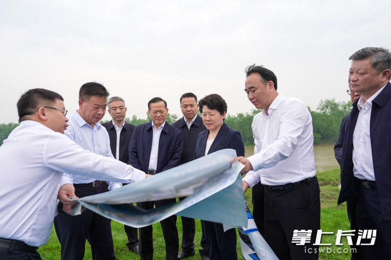 湘江西岸望城段堤防提标工程调研现场。