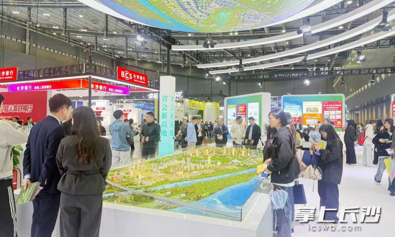 活动现场聚集了众多观展市民。 通讯员供图