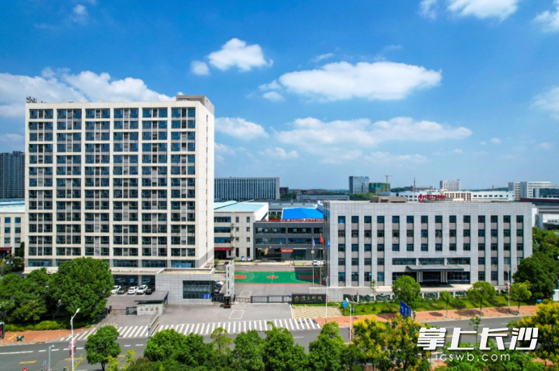顶立科技俯瞰。均为受访人供图