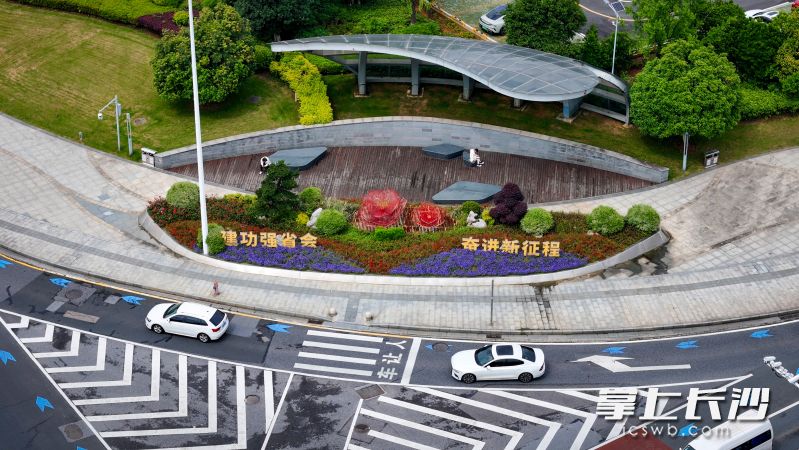 岳麓大道金星路口花坛。