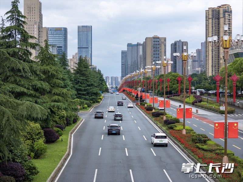 岳麓大道沿线，五星红旗整齐挺立在灯杆上，与道路两旁绿树红花交相辉映。 长沙晚报全媒体记者 郭雨滴 摄