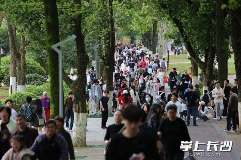 升级服务打造温馨城市客厅。