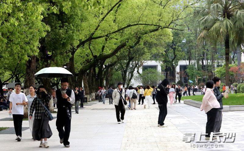 焕新升级后的烈士公园西广场。 均为长沙晚报全媒体记者贺文兵摄