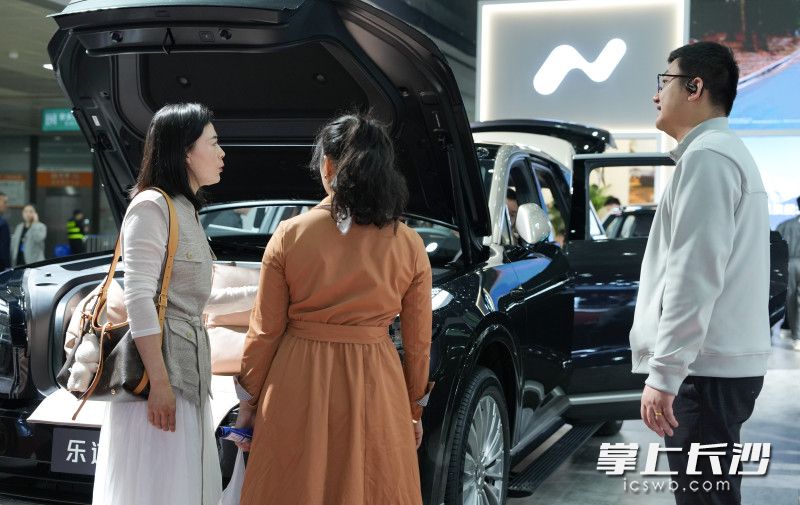 前来观展的市民正在选购自己心仪的汽车。