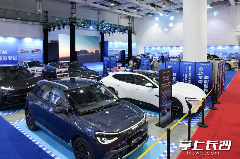2026湖南车展十余款重磅首发车型。