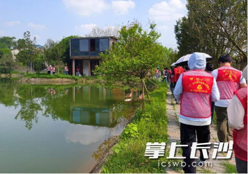 青年志愿者们以一场“河小青”水域环境保护志愿服务活动守护一湖碧水。均为通讯员 罗曼妮 供图