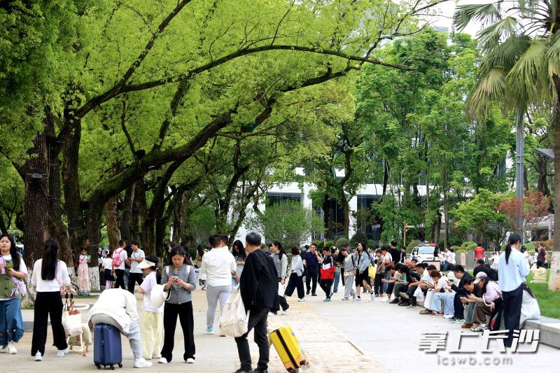 融合广场秩序井然。均为长沙晚报全媒体记者贺文兵摄