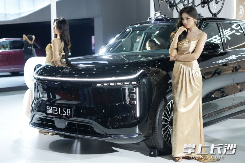 2026湖南车展上的靓丽车模。 均为长沙晚报全媒体记者邹麟摄