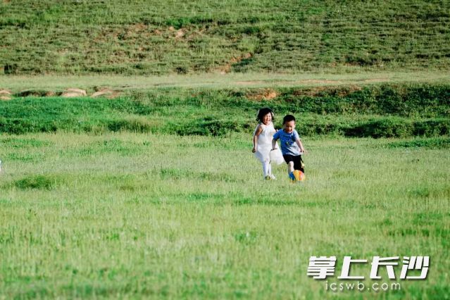 五一小长假首日，长沙南风轻柔，体感舒爽。  长沙晚报全媒体记者 舒元臻 摄