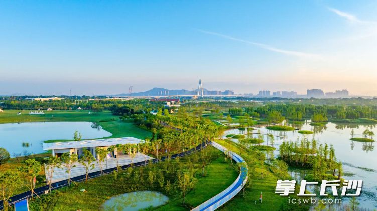 大泽湖近自然湿地公园。
