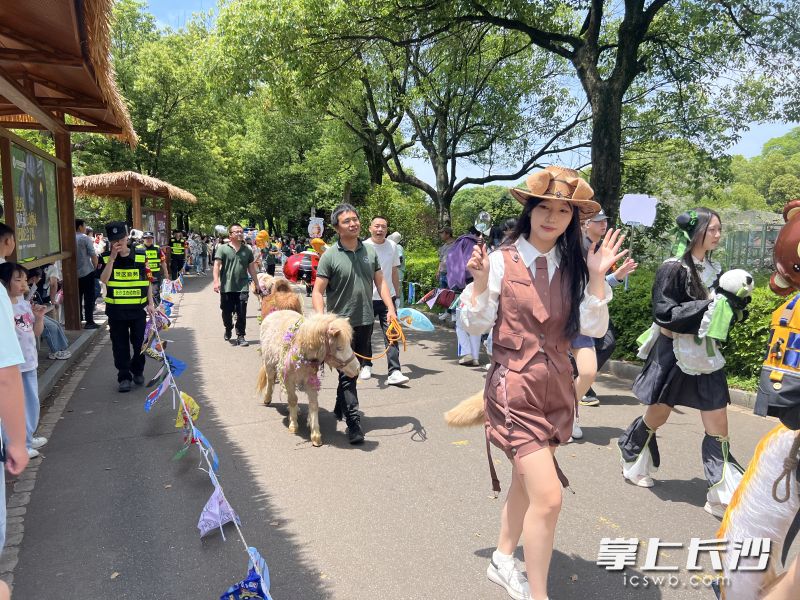 动物巡游热闹非凡。 均为长沙晚报通讯员谭思敏摄