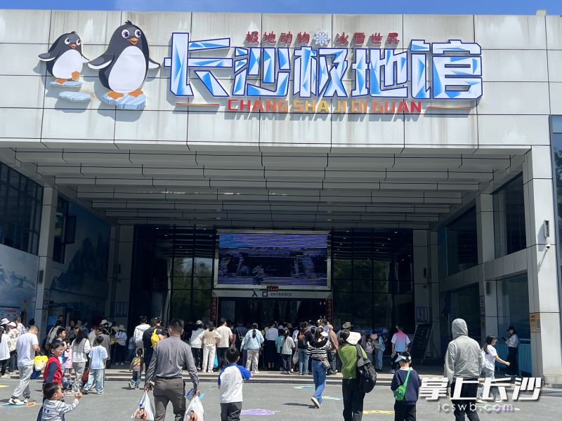 长沙极地馆前，入馆的游客络绎不绝。