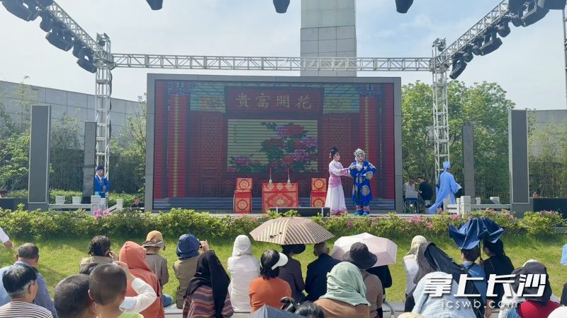现场人气十足，听戏氛围拉满。