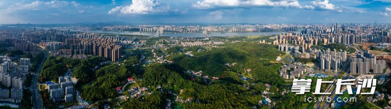 汉长沙国王陵遗址绵延静伫在长沙湘江西岸。均为长沙国王陵考古遗址公园管理处供图