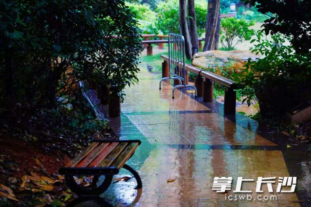 上午阳光“打卡”，下午风雨来袭。 长沙晚报全媒体记者 舒元臻 摄