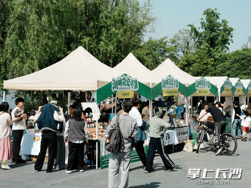 西湖公园的INPark城市浮岛的市集吸引了不少市民。