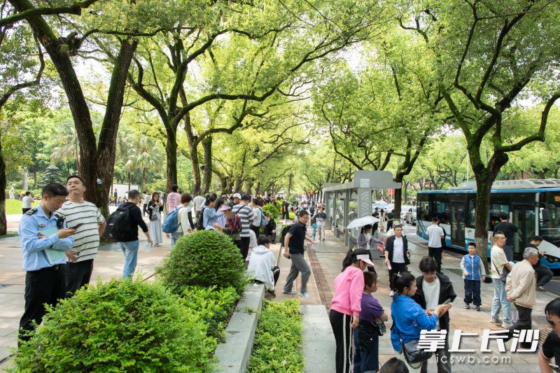 融合广场旁，游客们在树荫下等候或休憩。