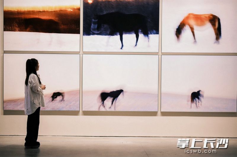 游客在观展。