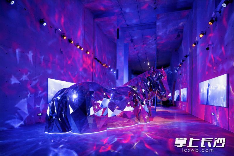 展览打破传统摄影展陈列模式，以光影装置、巨型马形艺术造景营造氛围感。