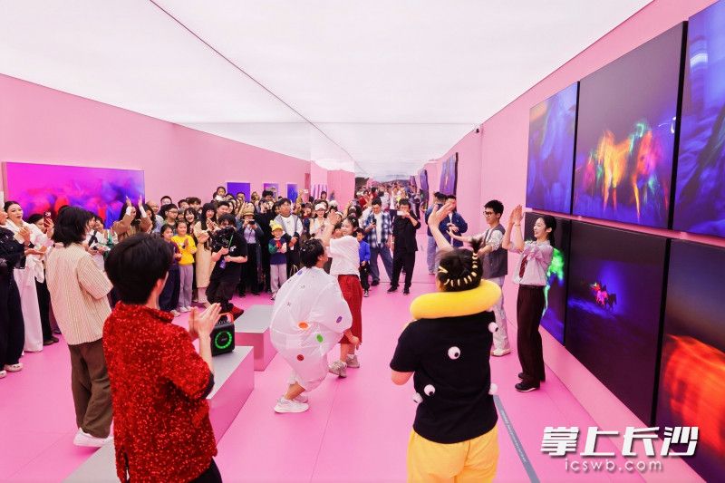 《马・谢子龙摄影艺术展》沉浸式艺术体验火爆出圈。均为通讯员 刘哲 供图