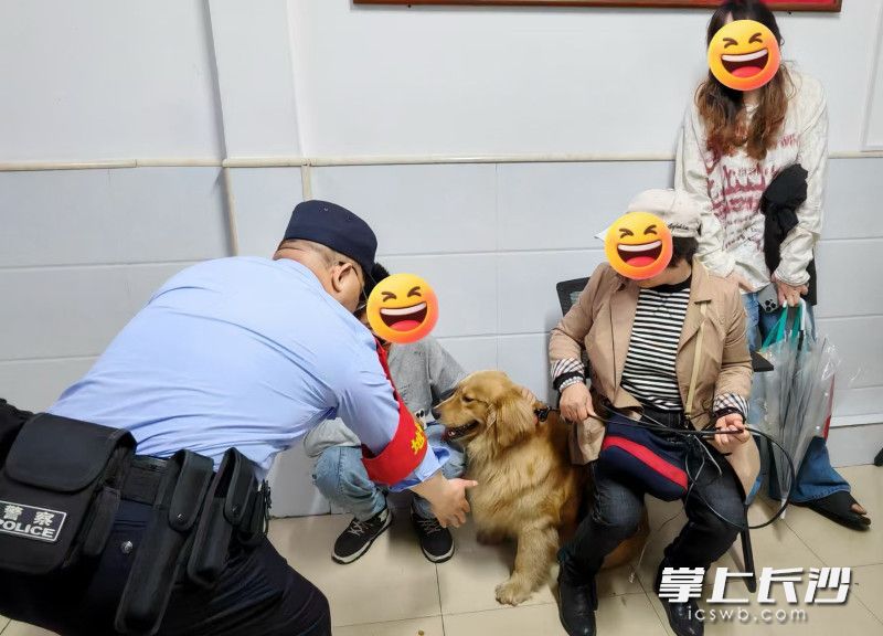 金毛犬回到了主人身边。通讯员 邵青 摄