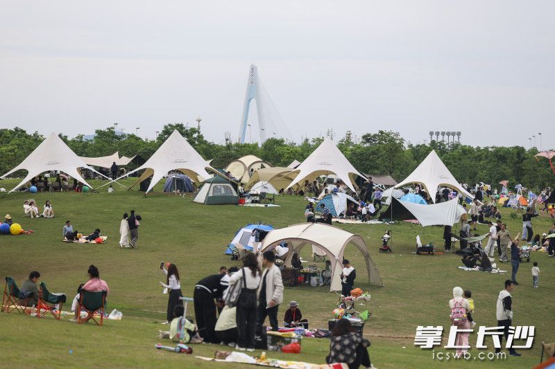 在大泽湖近自然湿地公园，露营扎帐篷已经成为许多市民假期选择。