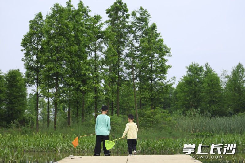 两个小朋友在湿地公园里玩耍。