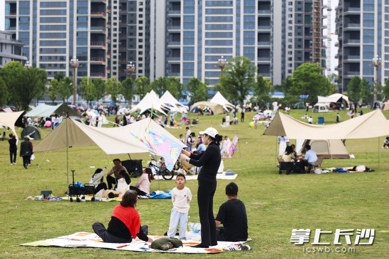在大泽湖近自然湿地公园，露营扎帐篷已经成为许多市民的假期选择。