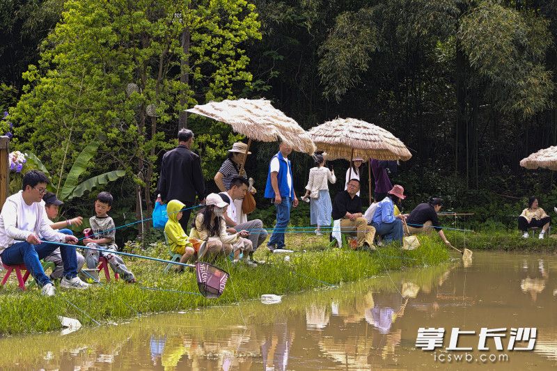 家长还可以满足一下钓鱼的兴趣。