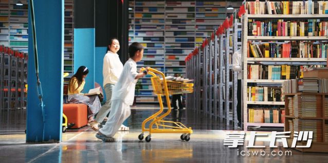 市民在阳光里寻找自己心仪的书籍。