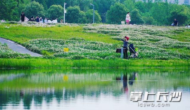 气温适宜，市民走出家门感受春光。 均为长沙晚报全媒体记者 舒元臻摄