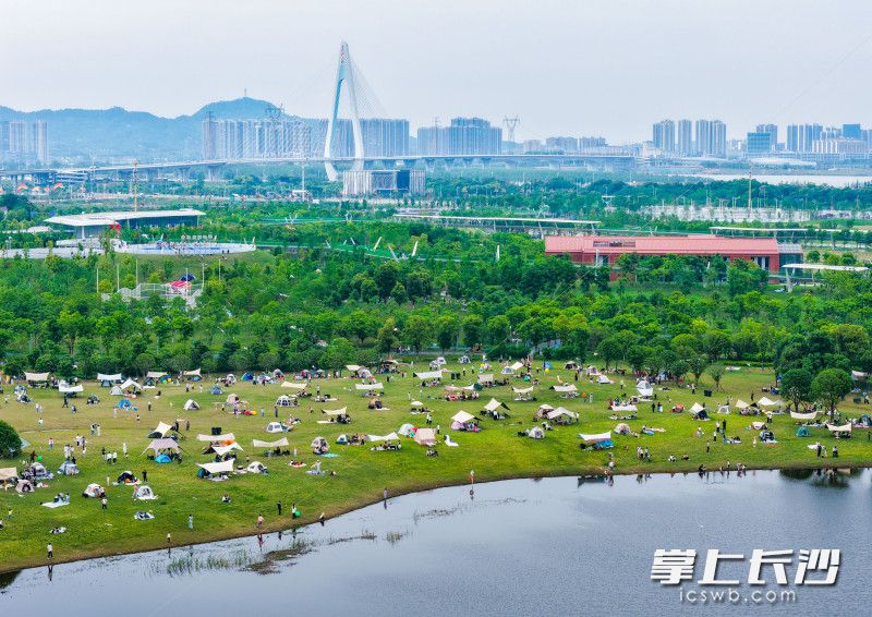 春假如约而至，大泽湖近自然湿地公园，家长带着孩子们享受美好时光。 均为长沙晚报全媒体记者邹麟摄