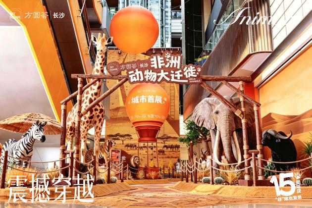 “穿越非洲・奇遇自然”主题活动。均为主办方供图