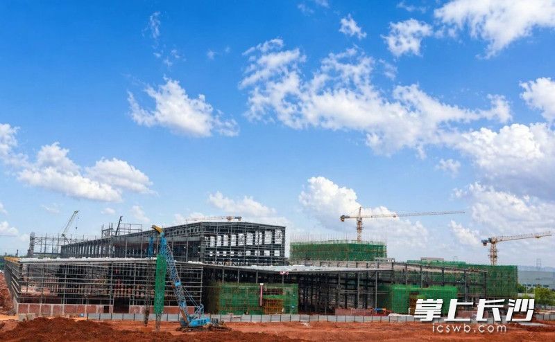 项目建设现场。长沙晚报通讯员 李杰 供图