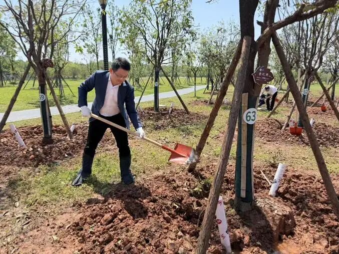 添绿松雅·聚才成林人才植树活动现场。长沙县委人才办供图