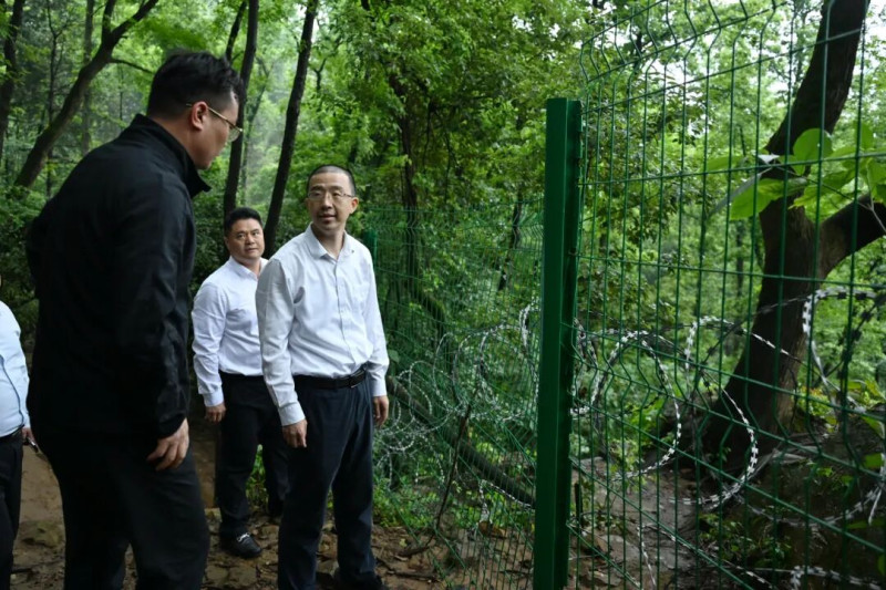 在岳麓山风景名胜区督导检查景区安全管理工作。