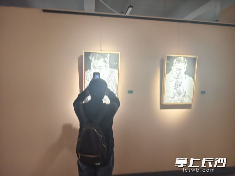 观众拍照打卡。 均为长沙晚报全媒体记者宁莎鸥摄
