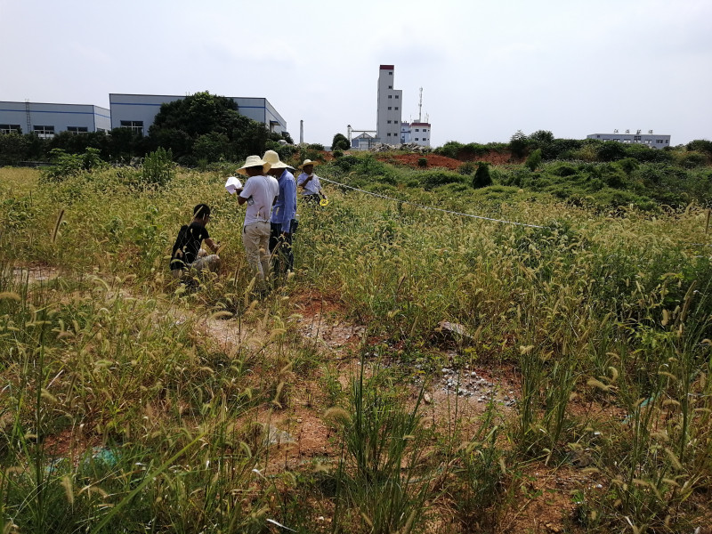2018年8月，彭记坊开工建设前期。除署名外，均为受访者供图