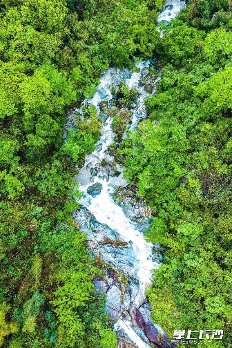 白天览青山盛景。