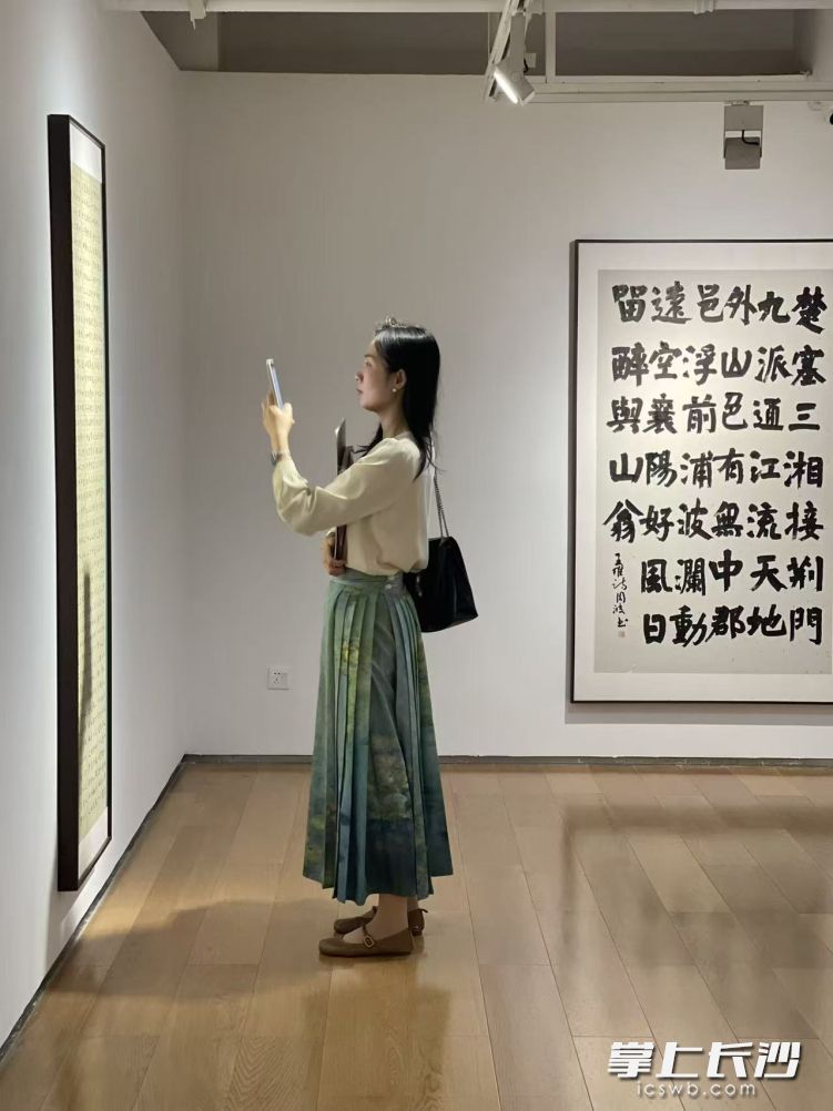 市民观展。均为主办方 供图