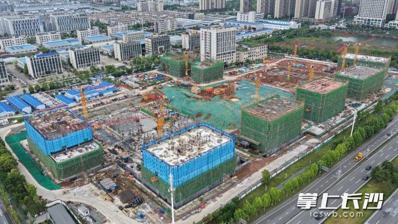 中电长沙信息科技园项目施工现场。长沙晚报通讯员艾哲文供图