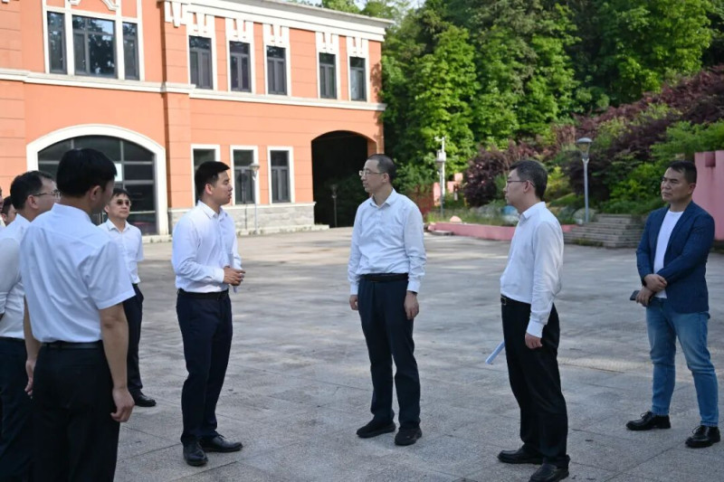 在飞鸟乐园项目督导检查耕地非农化问题整改情况。