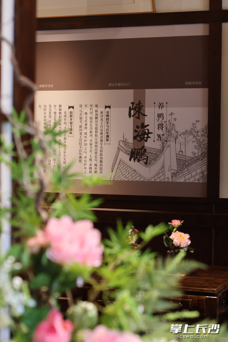 “养鸭将军”陈海鹏的故事进了茶铺展区。 均为长沙晚报全媒体记者李卓、通讯员陈芳摄