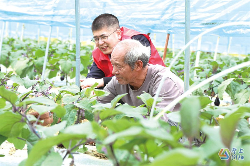 炭棚村第一书记李庆（左）深入田间地头，收集民情民意，帮助菜农解决实际问题。